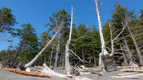 Amazing Nature - Most Beautiful Places In America