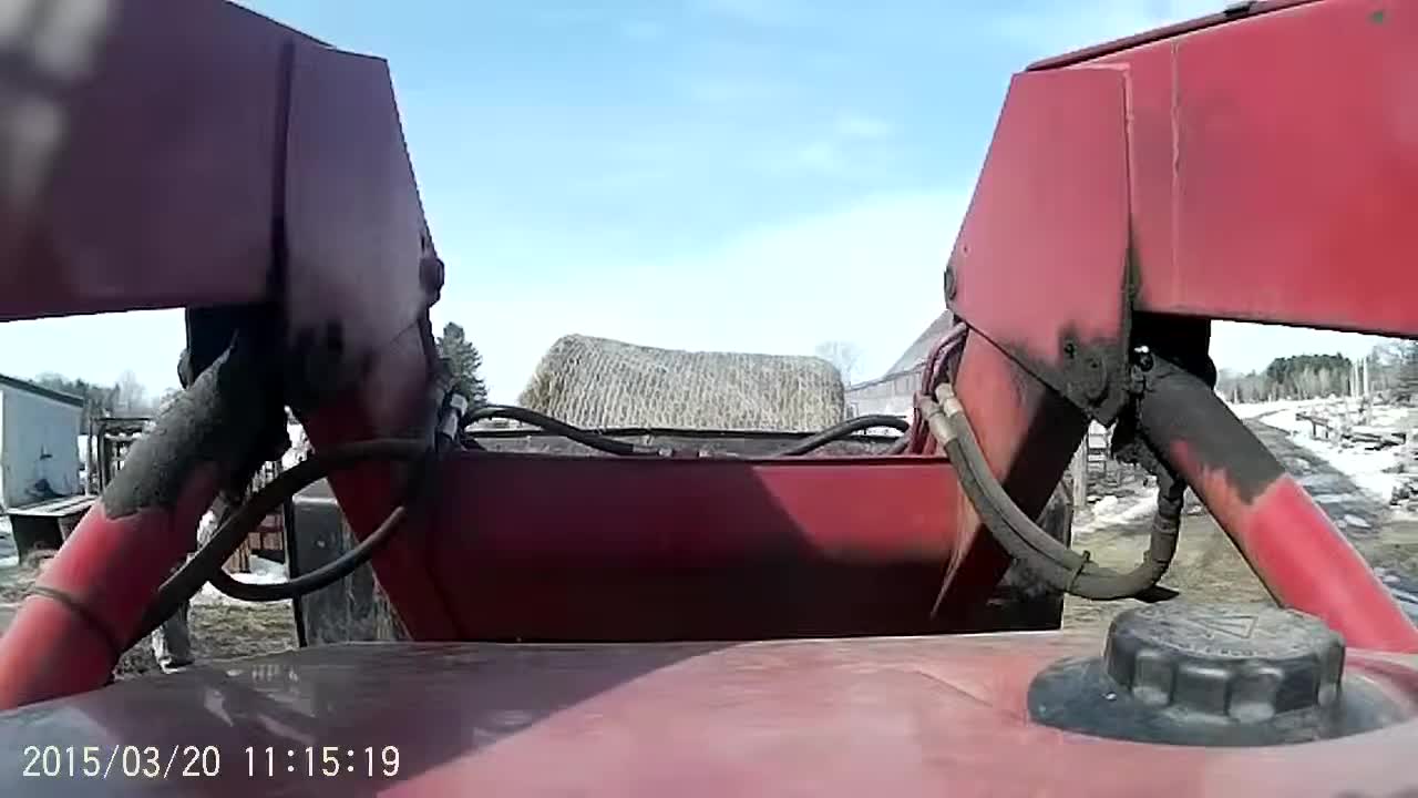 Feeding Our Cows Some Hay