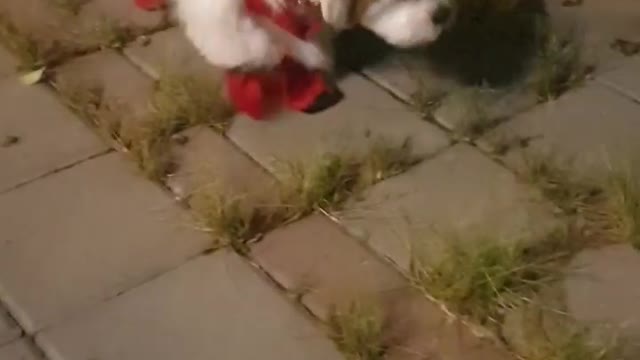 First walking experience