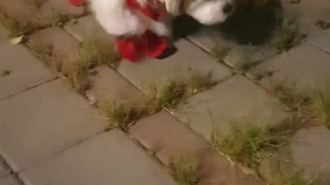 First walking experience