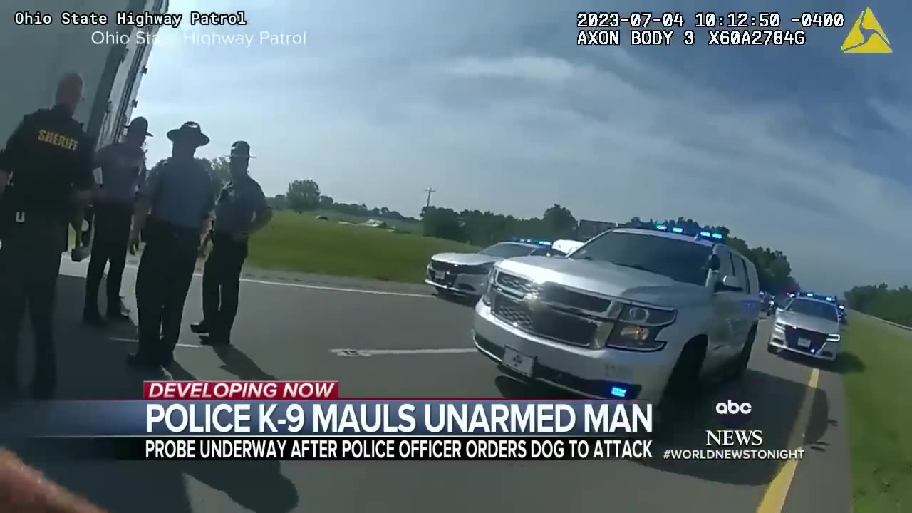 Police K-9 attacks unarmed man l WNT