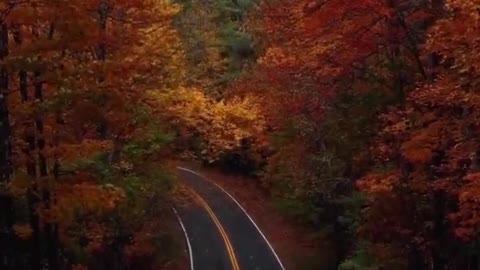 Want to race here?