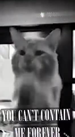 You Can't Contain Me Forever...