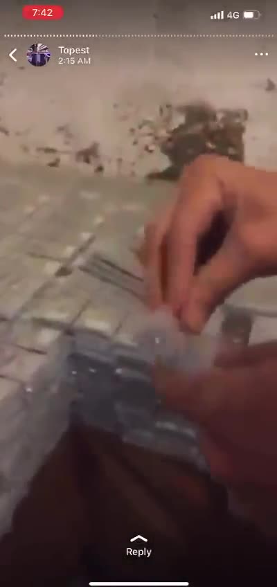 Taliban, armed & funded by American taxpayers