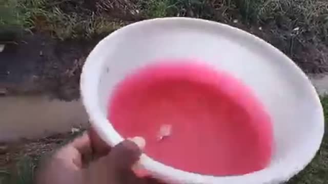 Hailstone Shower around Wainibuka Tailevu