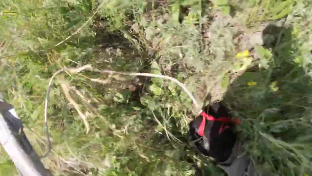 epic swoop crash....
