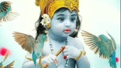 Jai shree Krishna