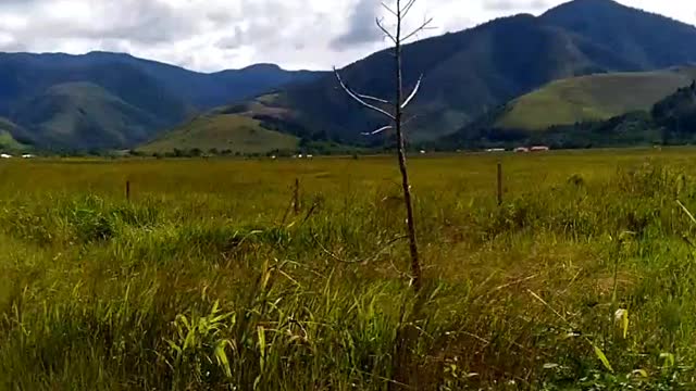 journey to the kebar Papua barat