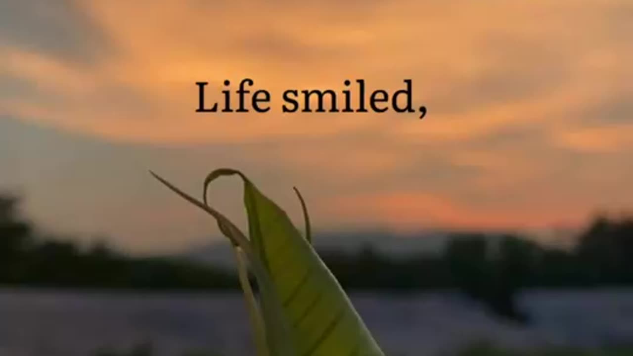 Life is not easy