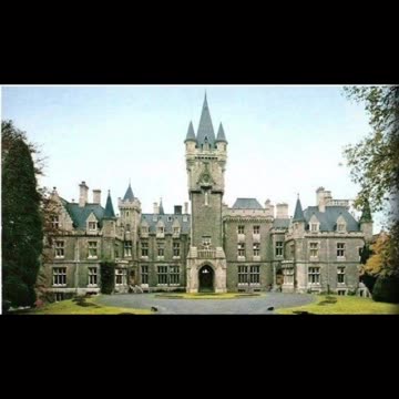 Old World vs New World