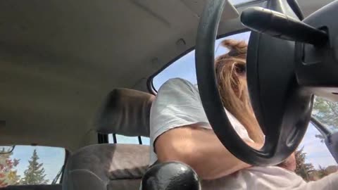 2023-03-17 (2) - une roulotte abandonnée ? - Twitch Decheterie