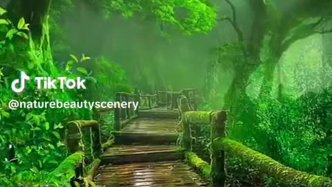 Beauty of Nature