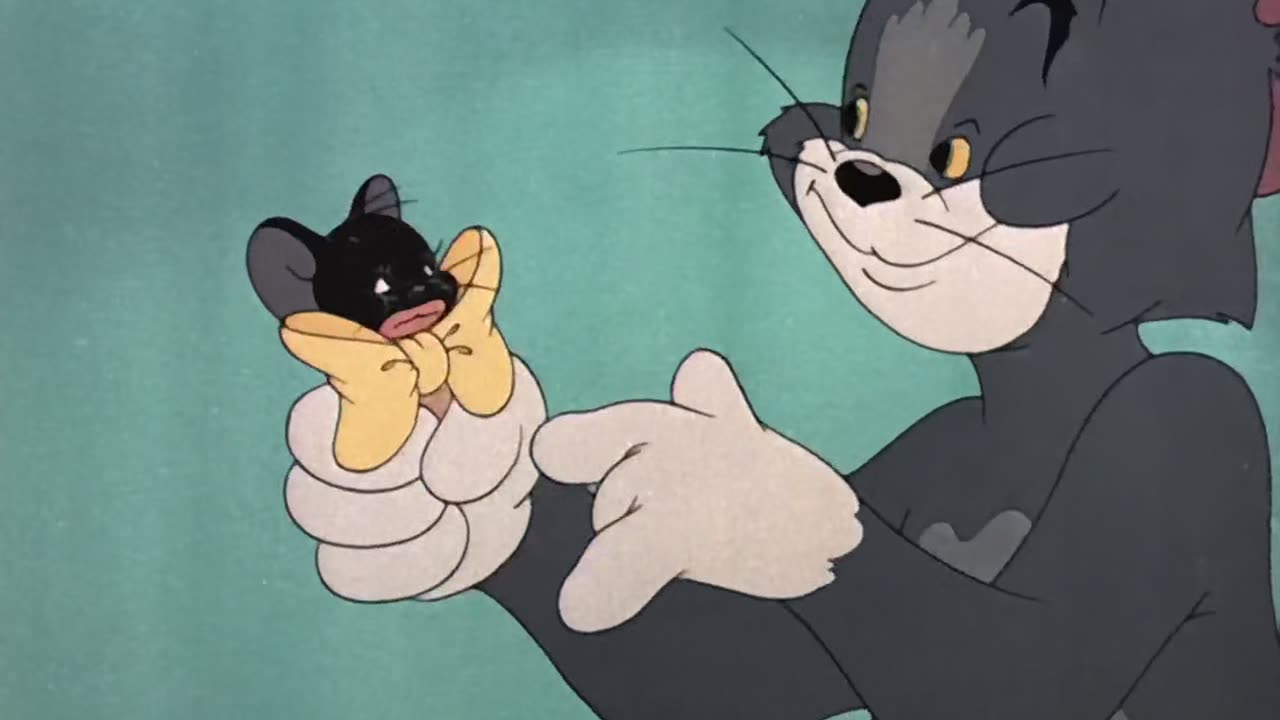 MGM Cartoons - 1951x01 - Casanova Cat