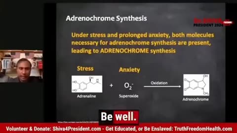 Dr. Shiva explains the biological process of producing Adrenochrome