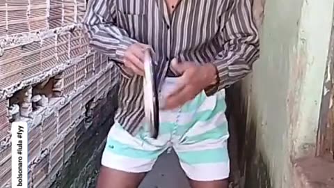 Sucesso do Bozo