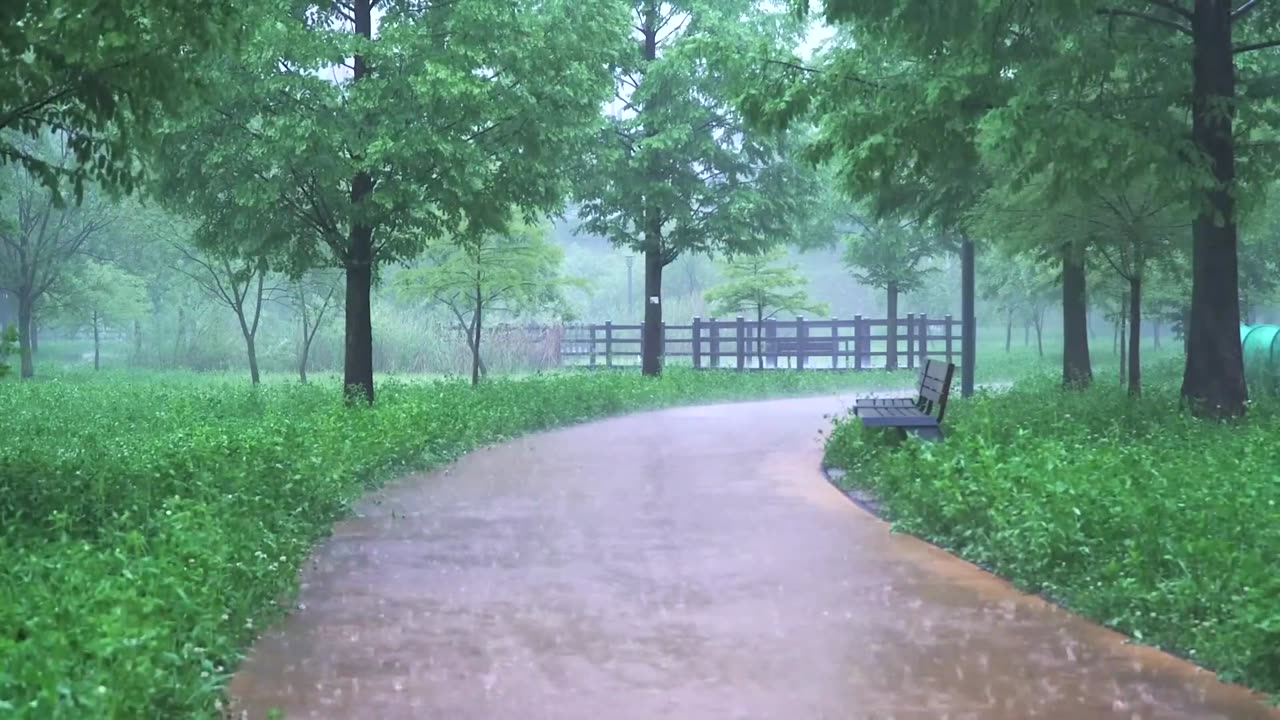 Amazing rain in green scenery