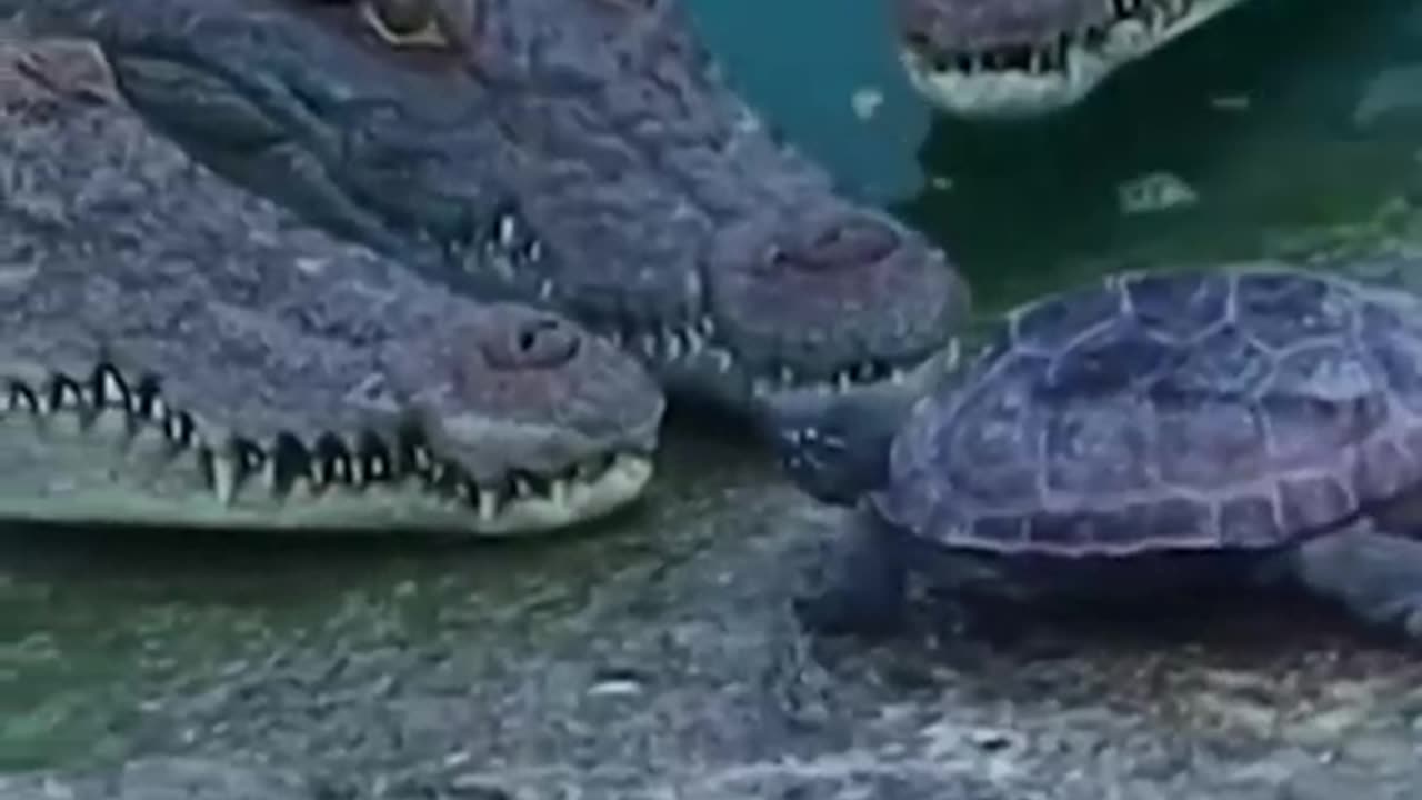 It's bravery