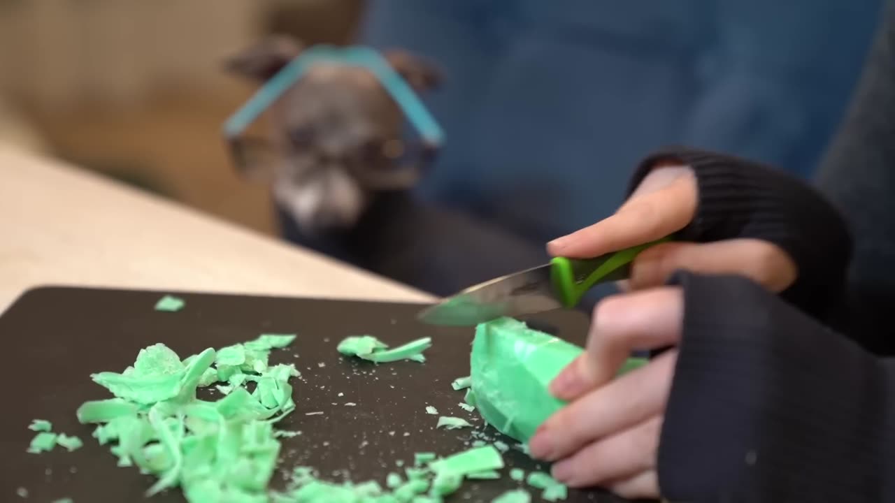 Cutting Soap For My Dog While He Wears A Turtleneck