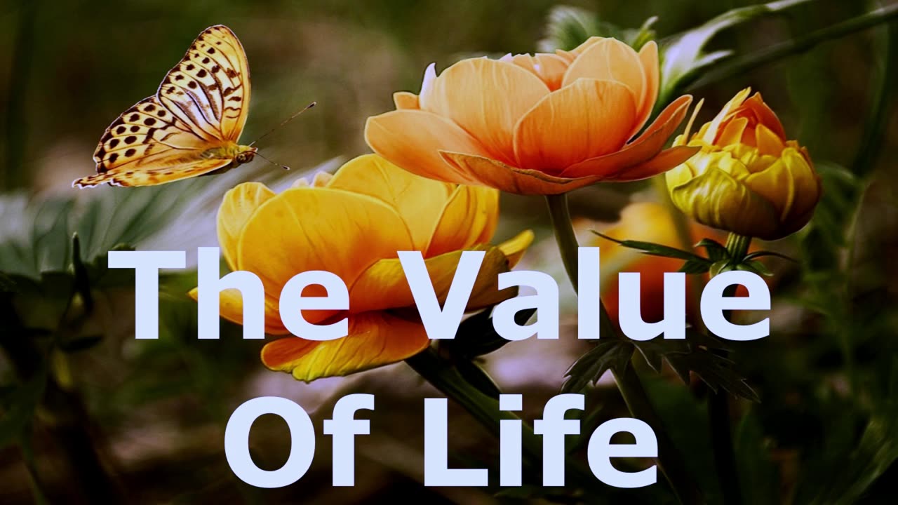 The Value Of Life | Pastor Robby Dickerson