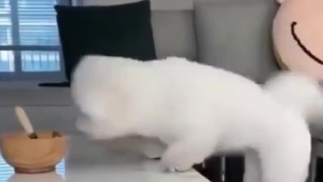 can't jump