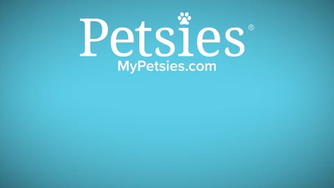 4 Kids Surprised With Custom Stuffed Animals of Their Past Pets | Petsies©