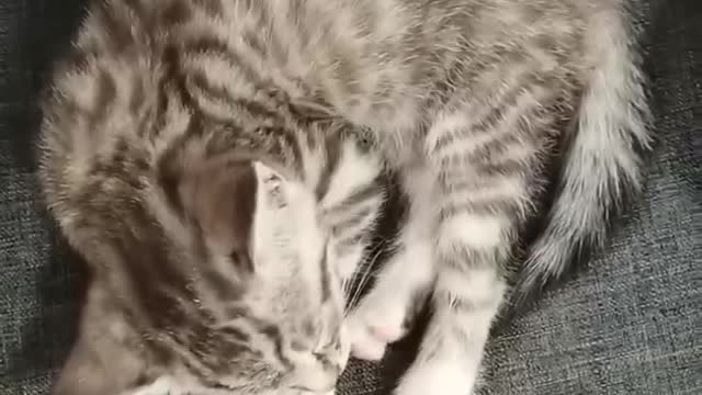 sleep peacefully