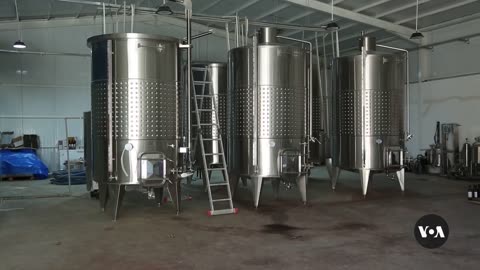 Kurdish Woman Leaves US to Open Winery in Ancestral Homeland | VOANews