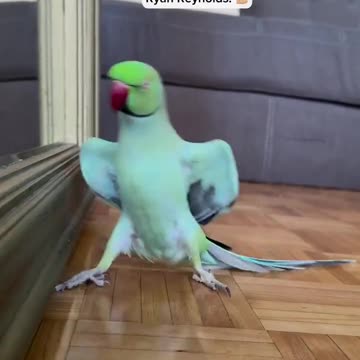 Wish I had moves like that 😂😂😍