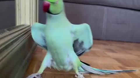 Wish I had moves like that 😂😂😍