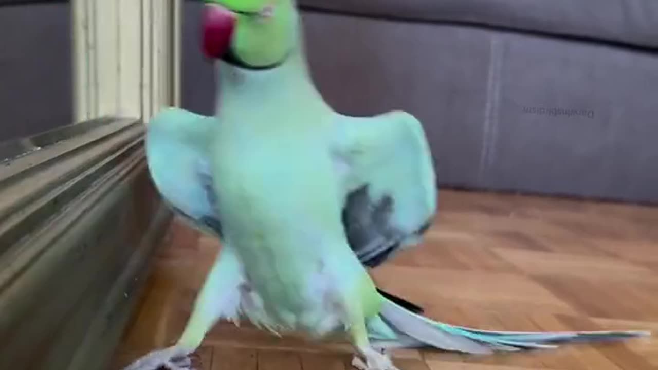 Wish I had moves like that 😂😂😍