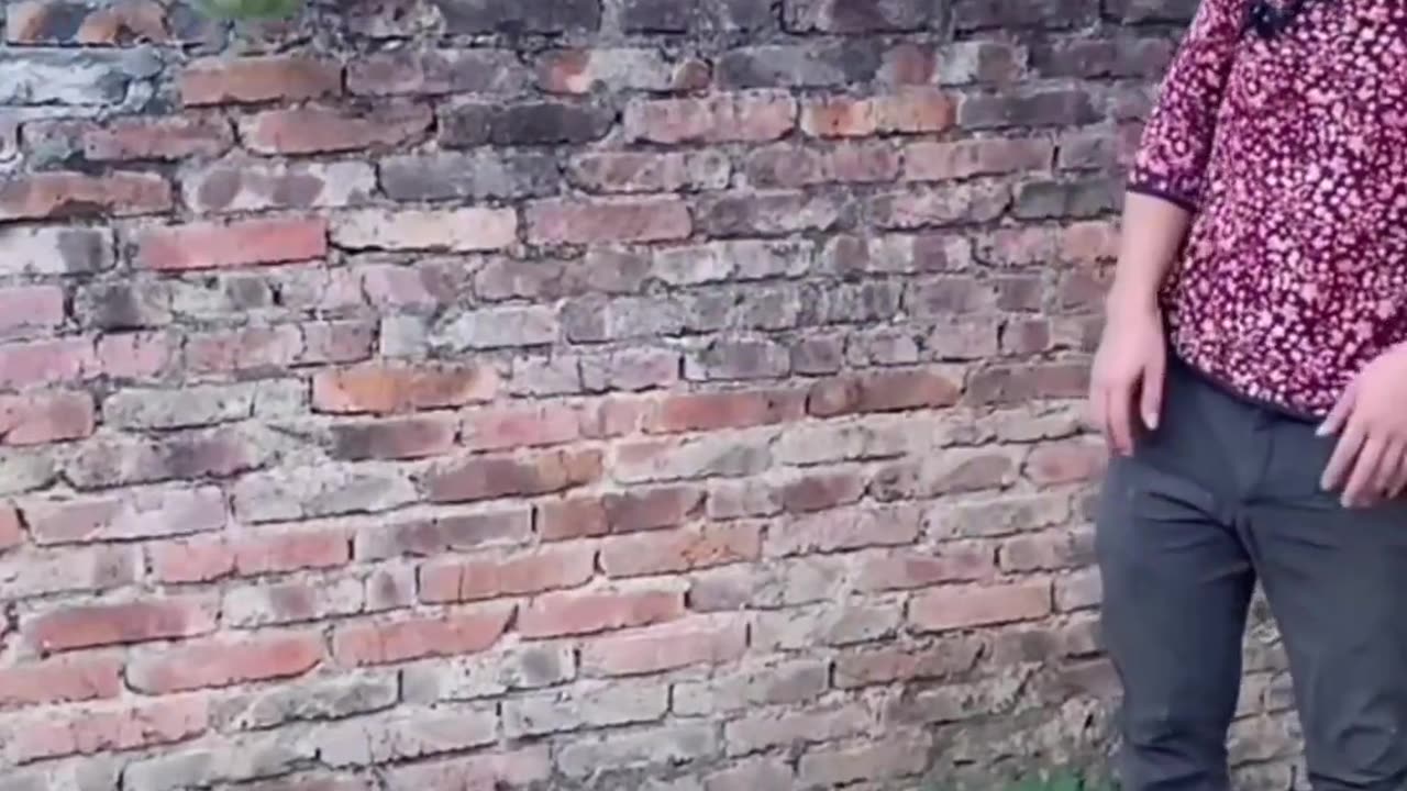 funny clip