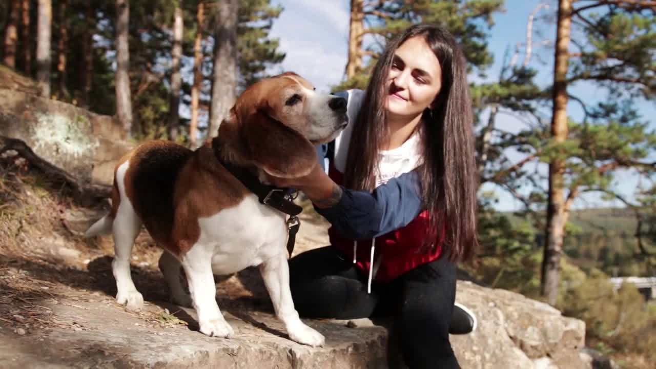 Woman with a charming dog walking in the autumn Park