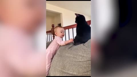 Funny Cat / Dog 😂😍🥹😂