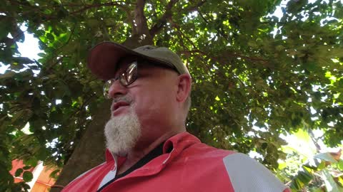 WE'RE HOME NOW AND DINNER IS STANDING IN THE FRONT YARD Part 4