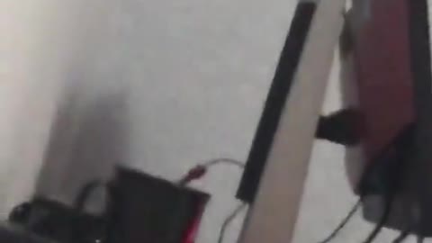 Hamster Darts Headfirst into Wall
