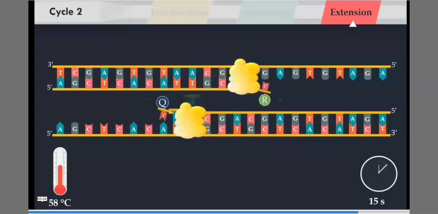 The Ogster's Virtual PCR-Test (8-8-21) - Pure Junk, not made for Purpose