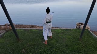 A29 - Aniel Baadjies - Green - Pinan Nidan