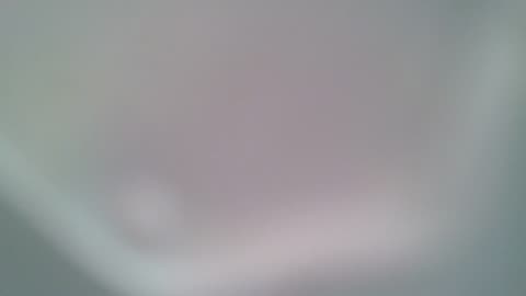 Test 532