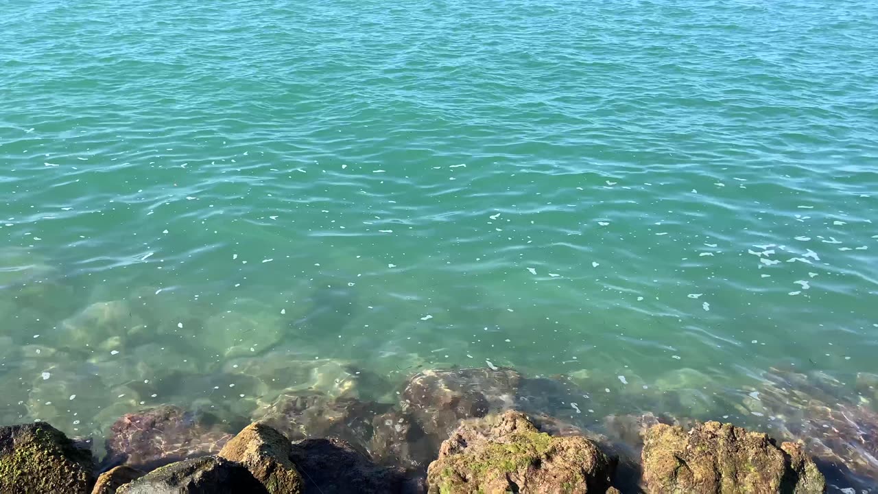 Short Relaxing Ocean Sounds at Key Biscayne, Florida