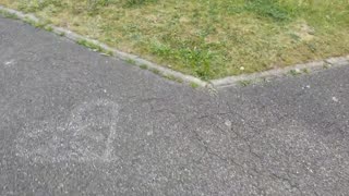 2023-05-08 (1) - déchargement rapide - Twitch Triskelina