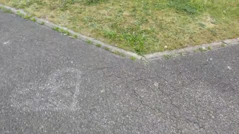 2023-05-08 (1) - déchargement rapide - Twitch Triskelina