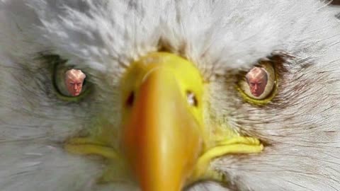 TRUMP EAGLE EYE 2024