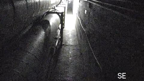 8505TUNN00VioletTunnel0685_2021-01-06_03h59min31s233ms.mp4