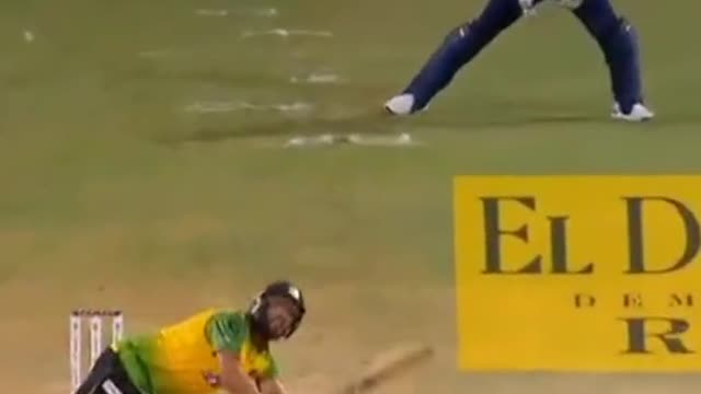 fans-video cricket lovers-video #cricket #cricketlover