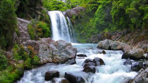 Beautiful landscape waterfall with birdsong for meditation and calm