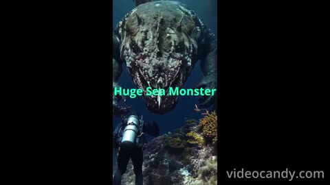 A diver encounters a huge sea monster