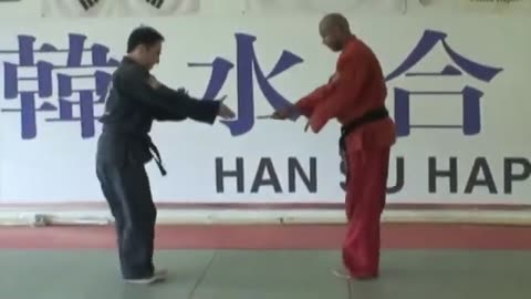Han Su Hapkido