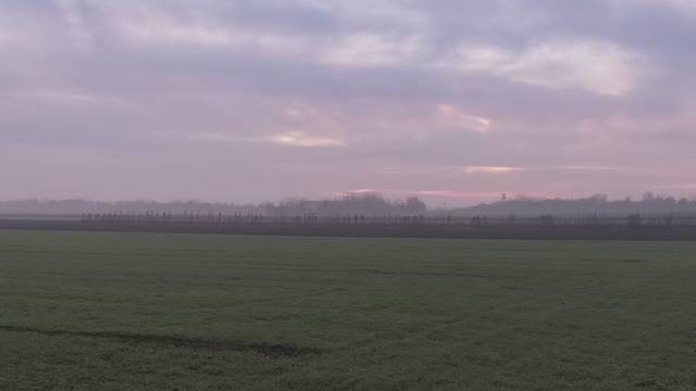 Train passes by romanian countryside on a foggy morning.