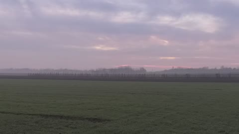 Train passes by romanian countryside on a foggy morning.