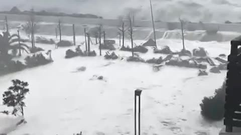 Видео из Сочи, где стихией повалило около 70 деревьев, повреждены остановки и кровля домов